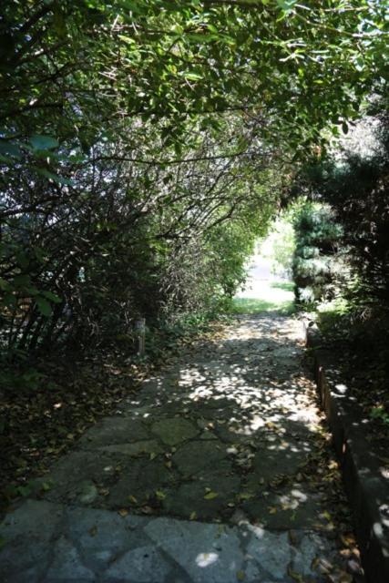 A L'orée Des Cévennes Aigremont Esterno foto